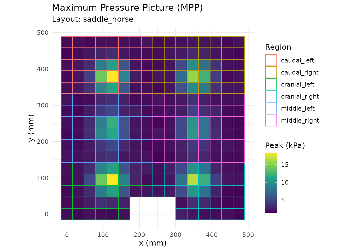 Saddle pressure heatmap with 6-region mask